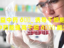 补益中药 🌸 诱导干细胞（什么中药能提高干细 🐘 胞活力）